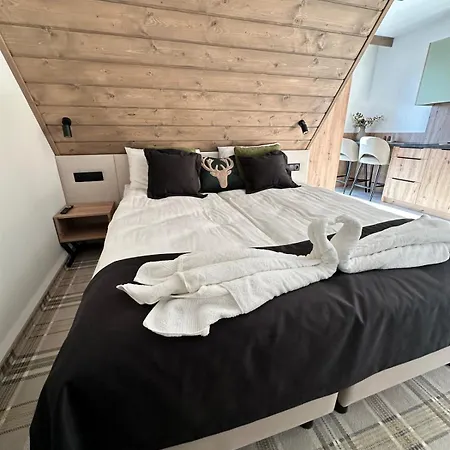 Apartament Skipoint - Near Lifts Białka Tatrzańska